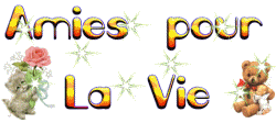 pour mes friends