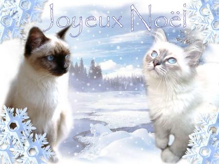 joyeux noel